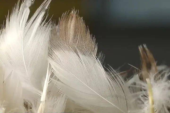 未能全面复苏；价格仍高企业备货激活市场热情ag旗舰厅注册行情周报 气温虽降制品销售(图3)