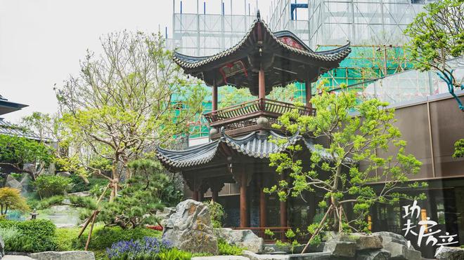 禅桂芯“超配”产品总价150万起！AG旗舰厅网站首页首日登记已破百！(图4)