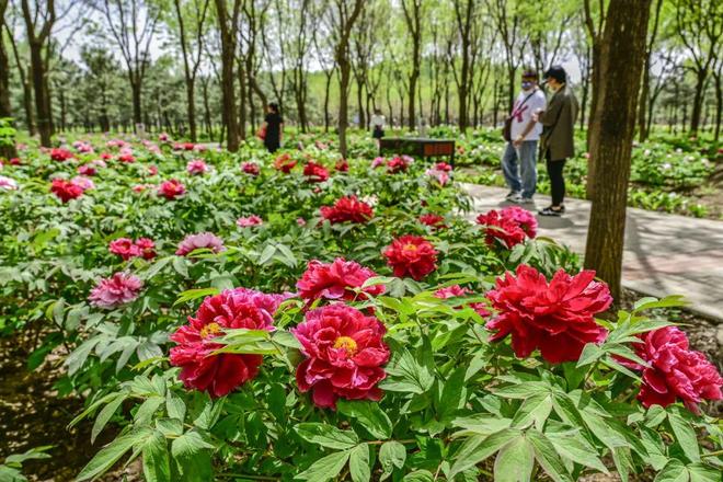 2：三大+书市+特色小镇打卡文旅新地标AG旗舰厅ios120小时玩转副中心-(图2)